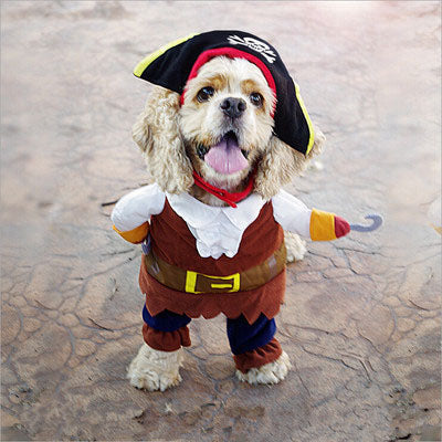 Arrghhh! Pirate Costume for Dog or Cat -